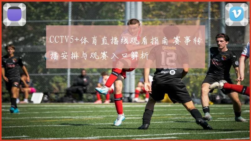 CCTV5+体育直播线观看指南 赛事转播安排与观赛入口解析